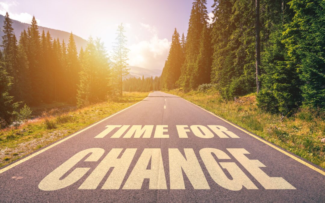 Insights into Organizational Change